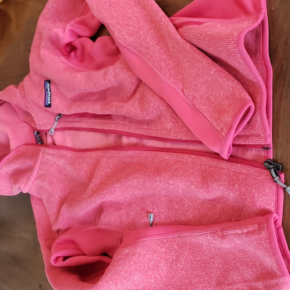 Patagonia Better Sweater Hoody